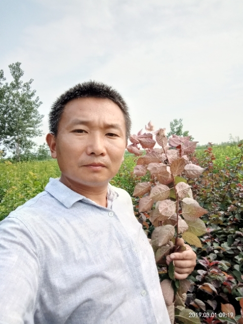 孩子爸的第二张照片--徐州蓝颜知己交友网